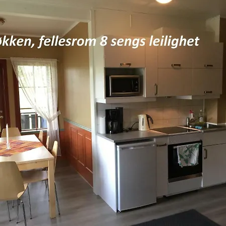 Apartamento Skisenter *