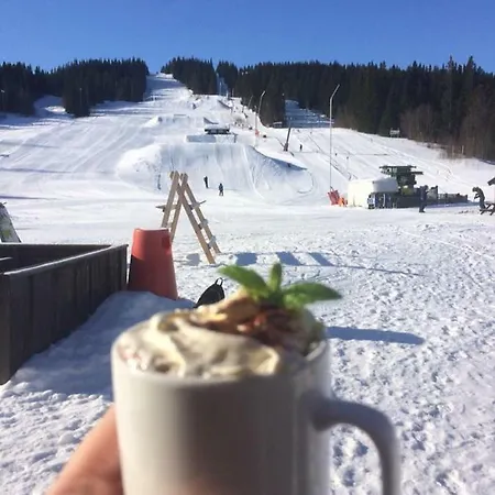 Skisenter Apartamento